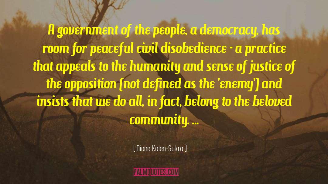 Diane Kalen-Sukra Quotes: A government of the people,