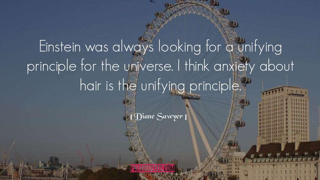 Diane Sawyer Quotes: Einstein was always looking for