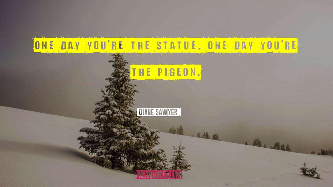 Diane Sawyer Quotes: One day you're the statue.
