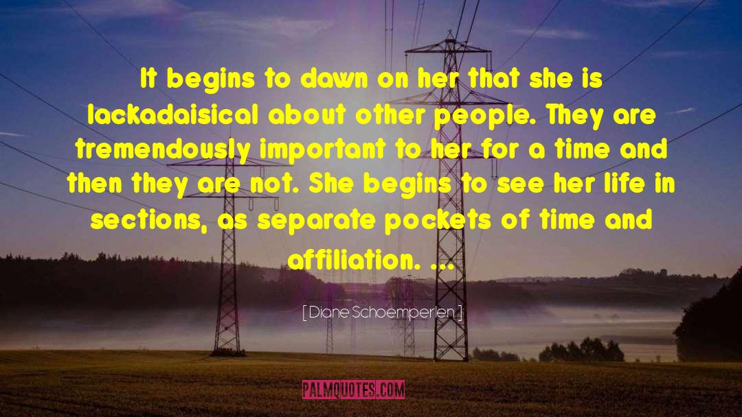 Diane Schoemperlen Quotes: It begins to dawn on