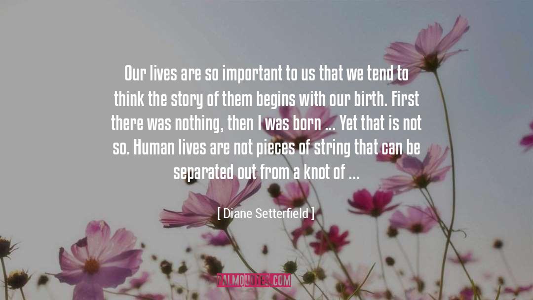 Diane Setterfield Quotes: Our lives are so important