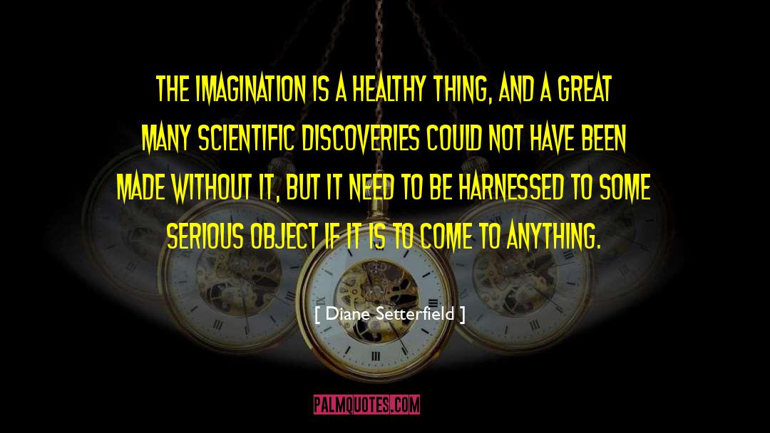 Diane Setterfield Quotes: The imagination is a healthy