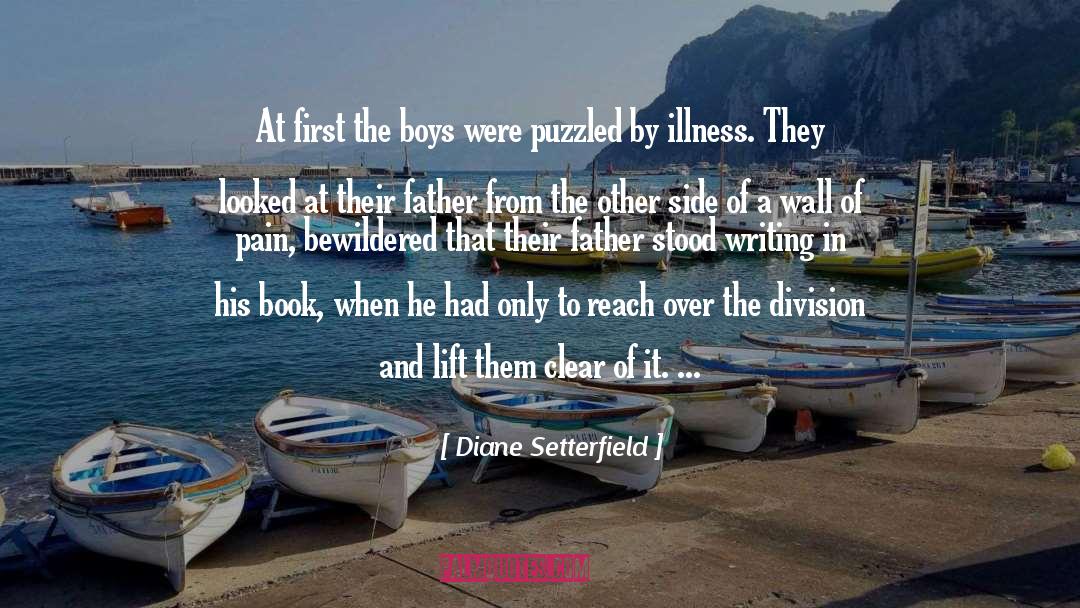 Diane Setterfield Quotes: At first the boys were