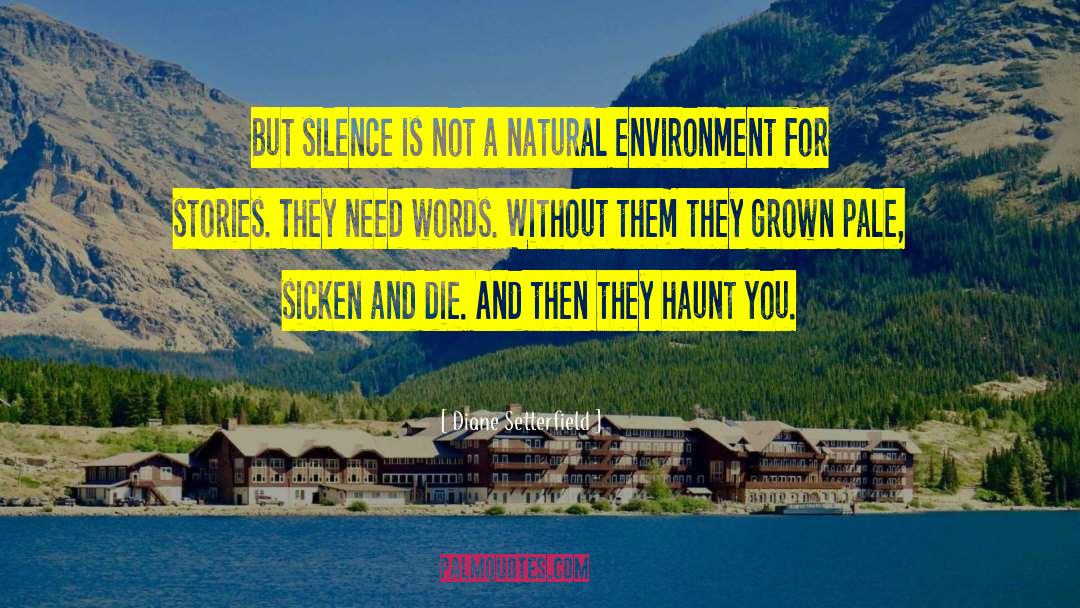 Diane Setterfield Quotes: But silence is not a