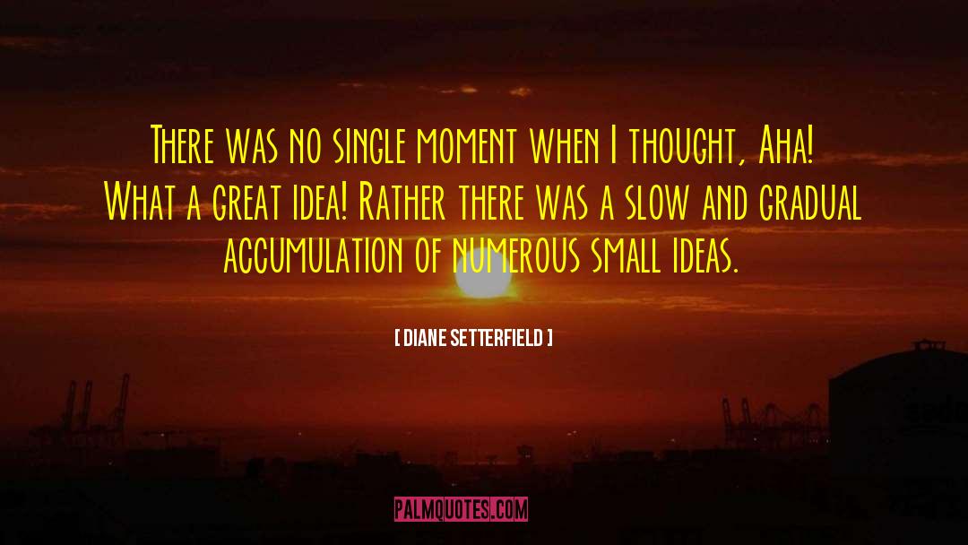 Diane Setterfield Quotes: There was no single moment