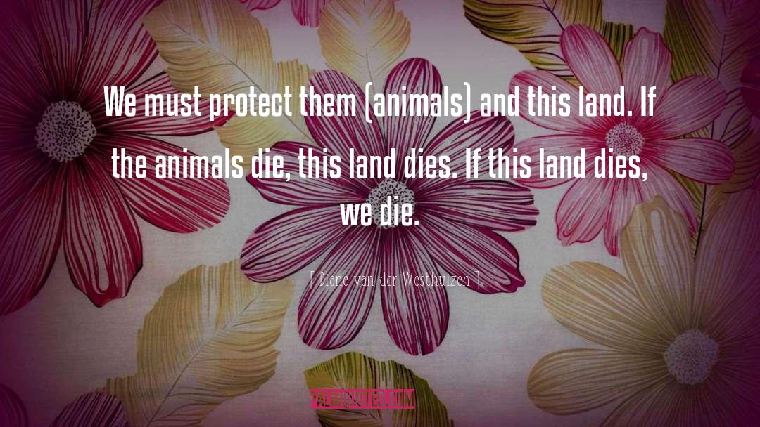 Diane Van Der Westhuizen Quotes: We must protect them (animals)