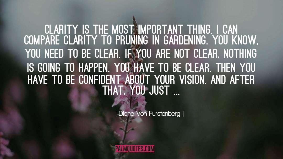 Diane Von Furstenberg Quotes: Clarity is the most important