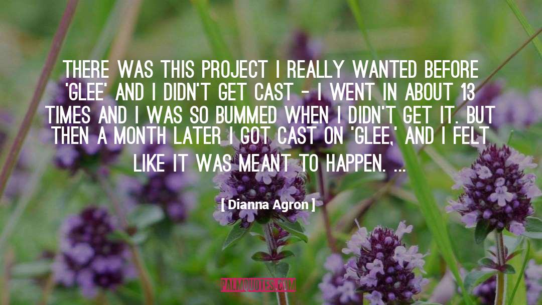 Dianna Agron Quotes: There was this project I