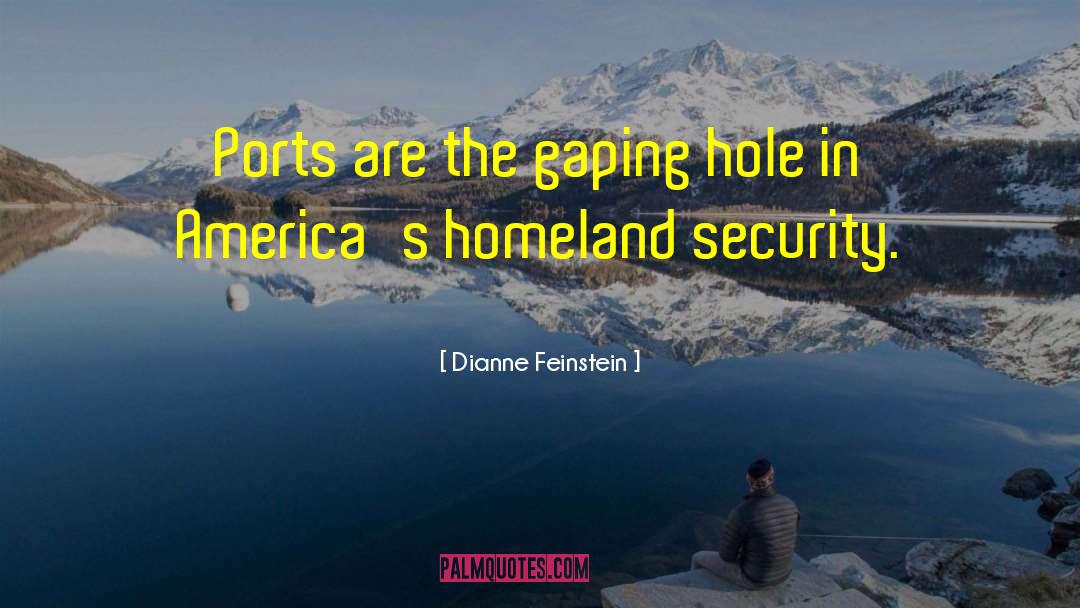 Dianne Feinstein Quotes: Ports are the gaping hole