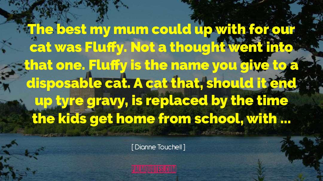 Dianne Touchell Quotes: The best my mum could