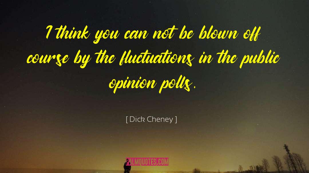 Dick Cheney Quotes: I think you can not