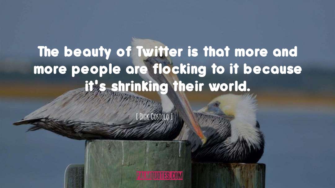 Dick Costolo Quotes: The beauty of Twitter is