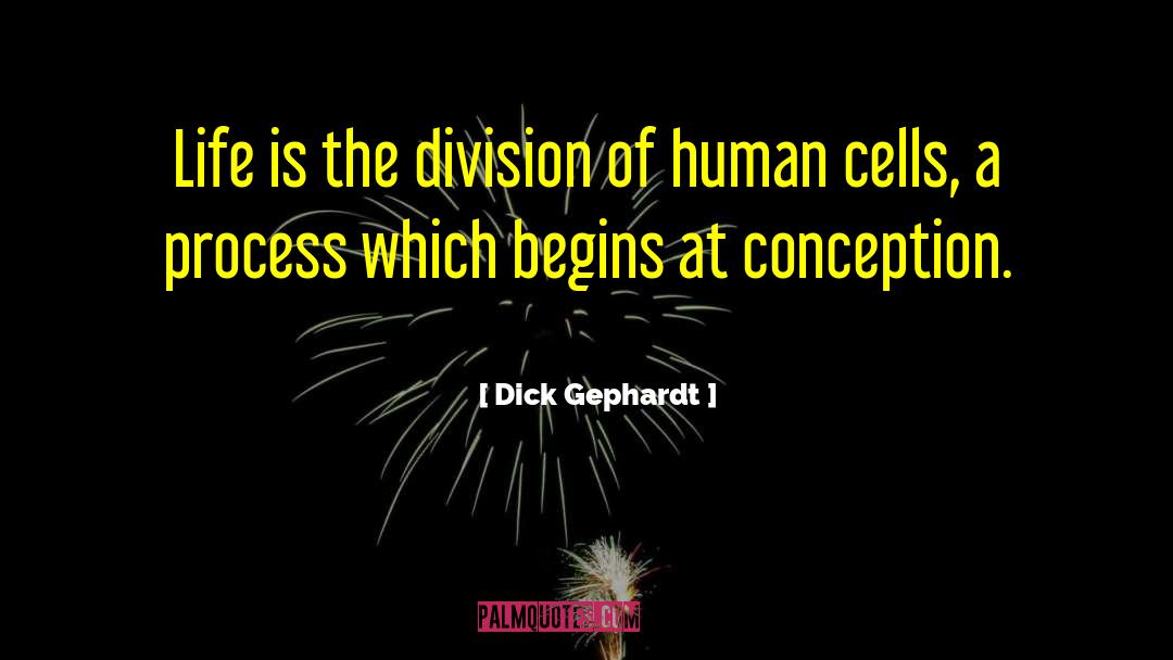 Dick Gephardt Quotes: Life is the division of