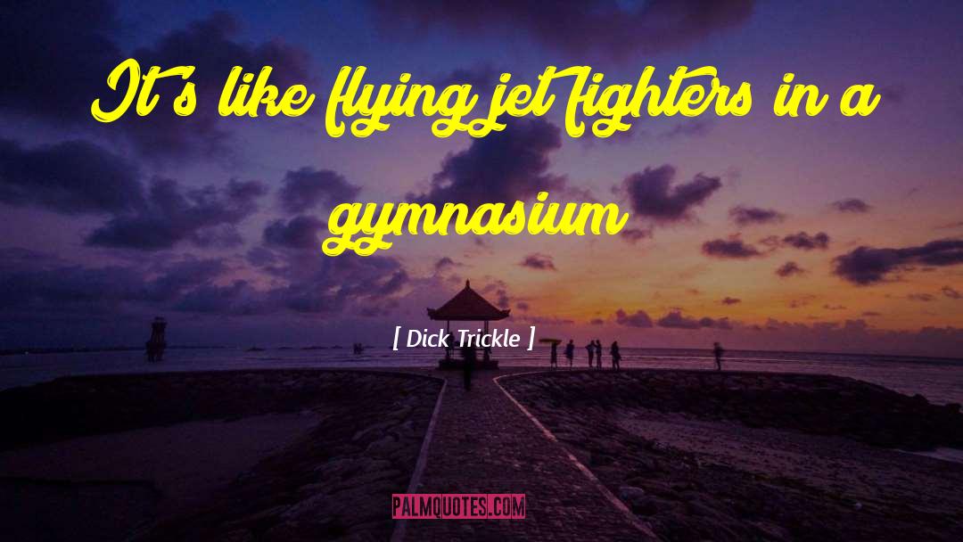 Dick Trickle Quotes: It's like flying jet fighters