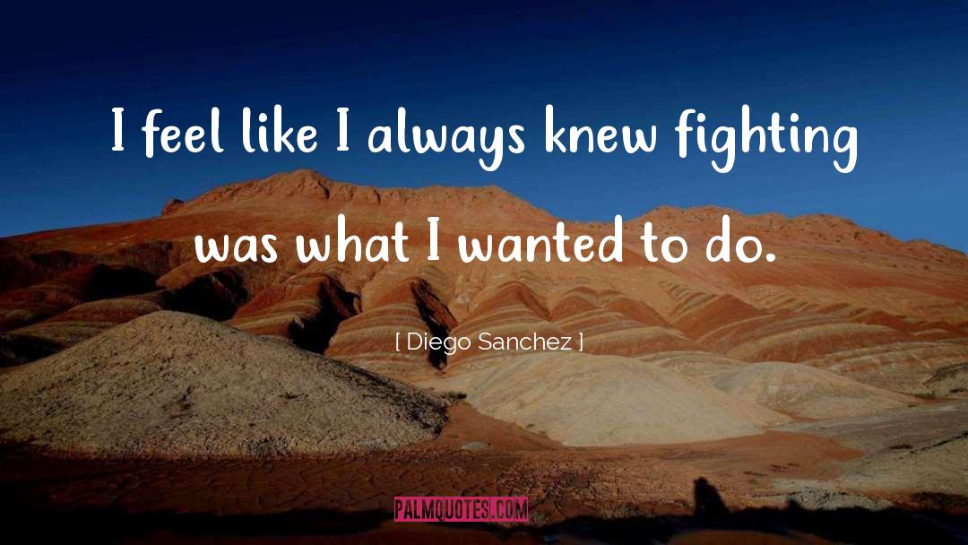 Diego Sanchez Quotes: I feel like I always