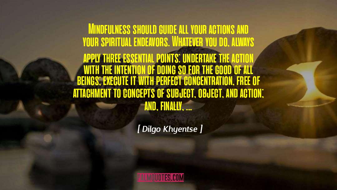 Dilgo Khyentse Quotes: Mindfulness should guide all your