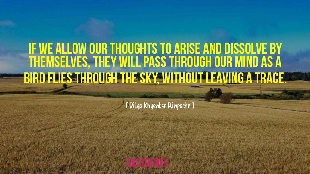 Dilgo Khyentse Rinpoche Quotes: If we allow our thoughts