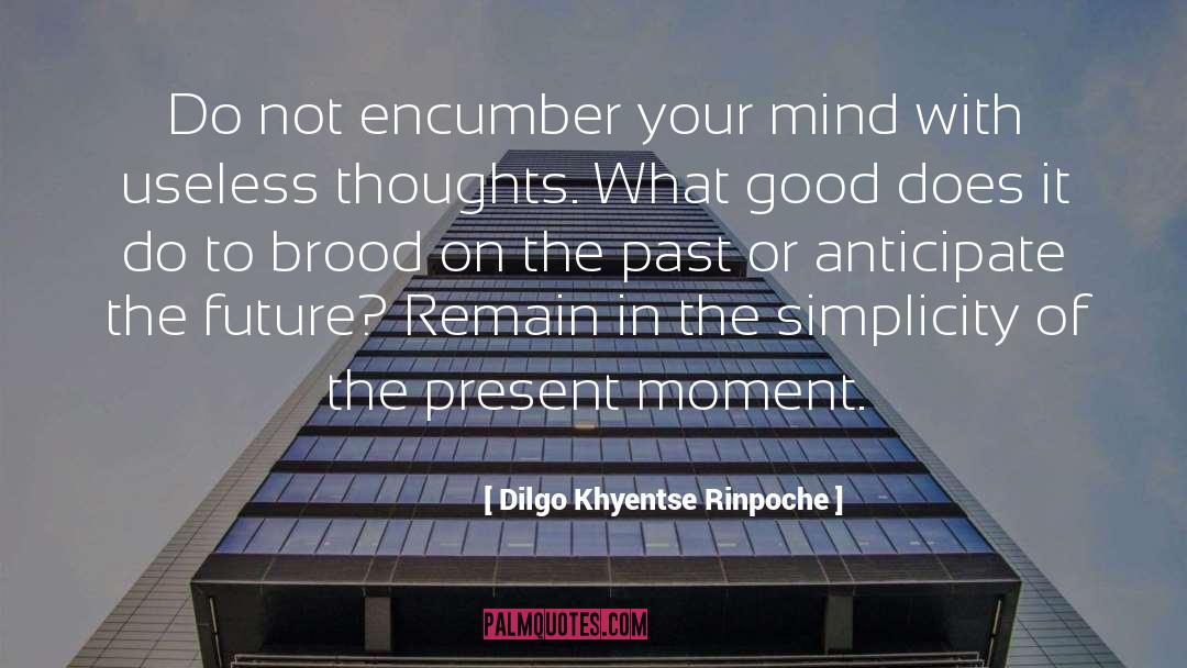 Dilgo Khyentse Rinpoche Quotes: Do not encumber your mind