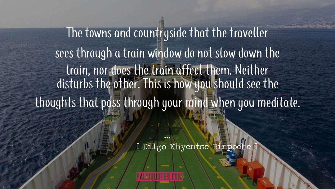 Dilgo Khyentse Rinpoche Quotes: The towns and countryside that