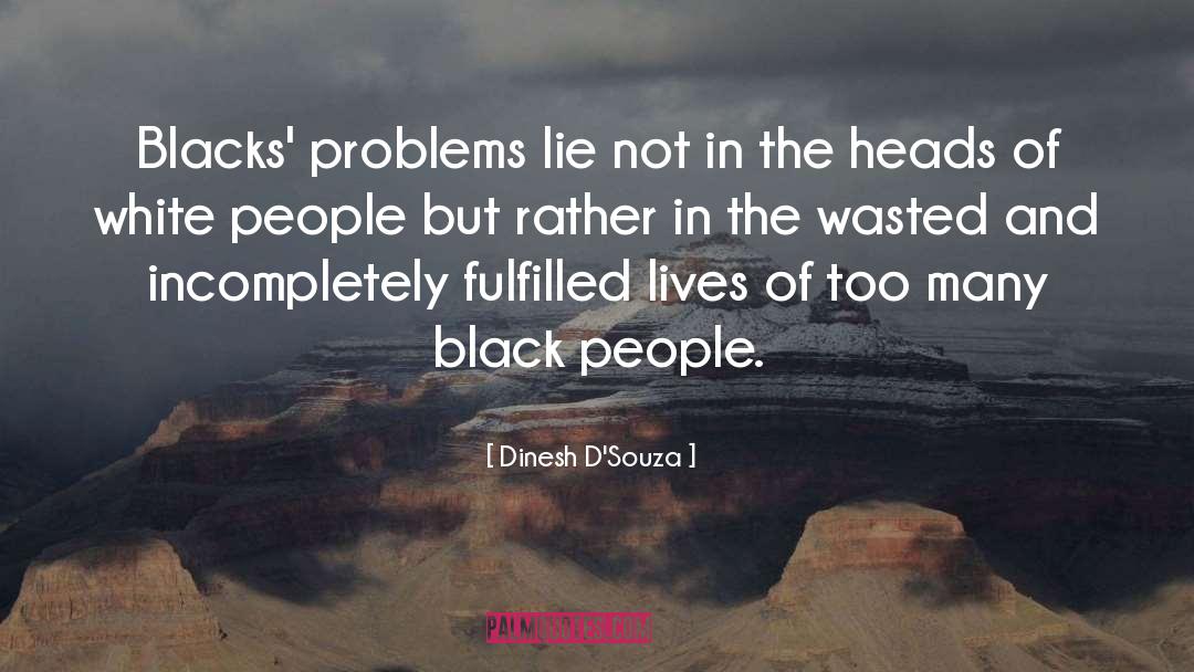 Dinesh D'Souza Quotes: Blacks' problems lie not in