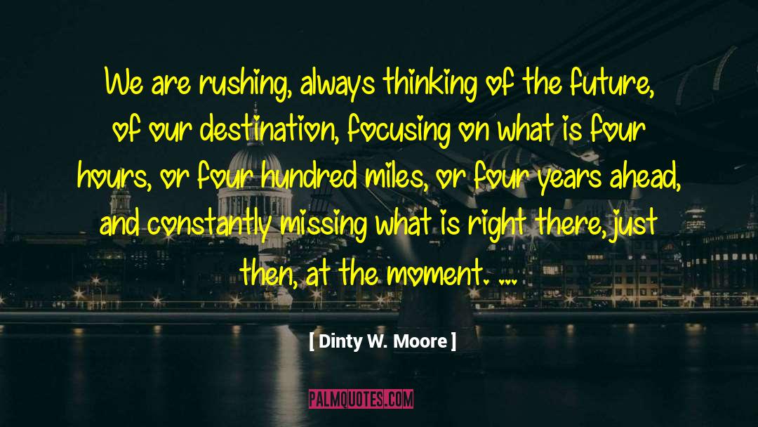 Dinty W. Moore Quotes: We are rushing, always thinking