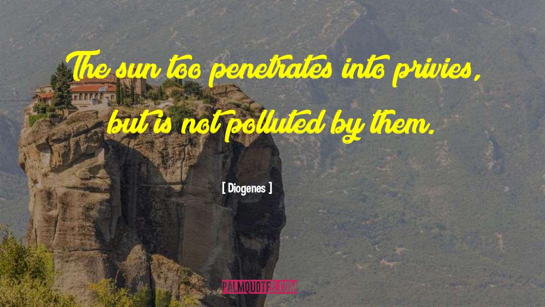 Diogenes Quotes: The sun too penetrates into