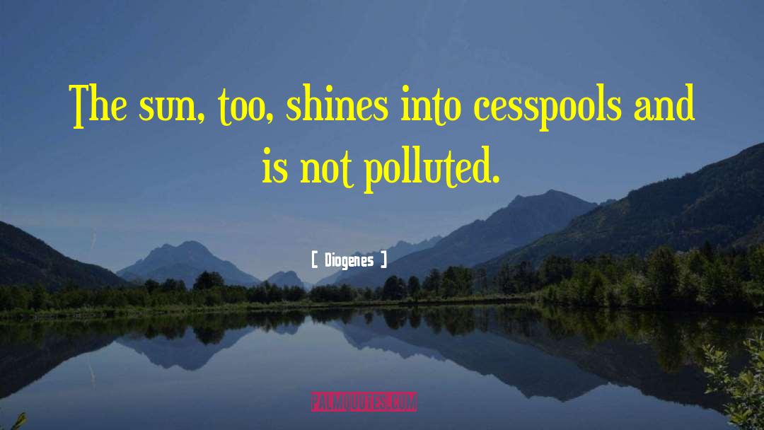 Diogenes Quotes: The sun, too, shines into