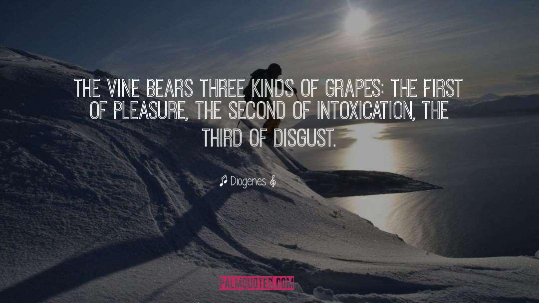 Diogenes Quotes: The vine bears three kinds