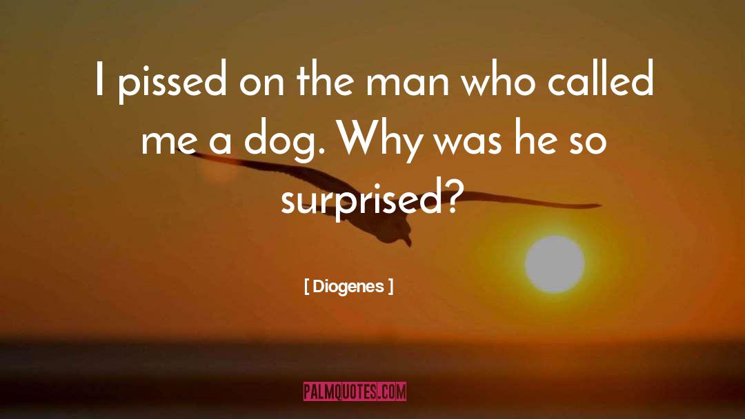 Diogenes Quotes: I pissed on the man