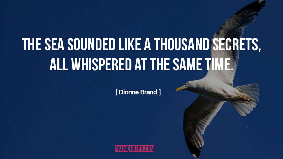 Dionne Brand Quotes: The sea sounded like a