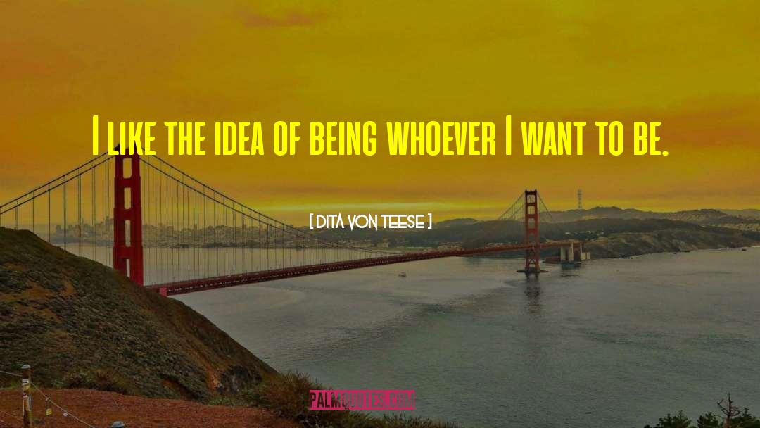Dita Von Teese Quotes: I like the idea of