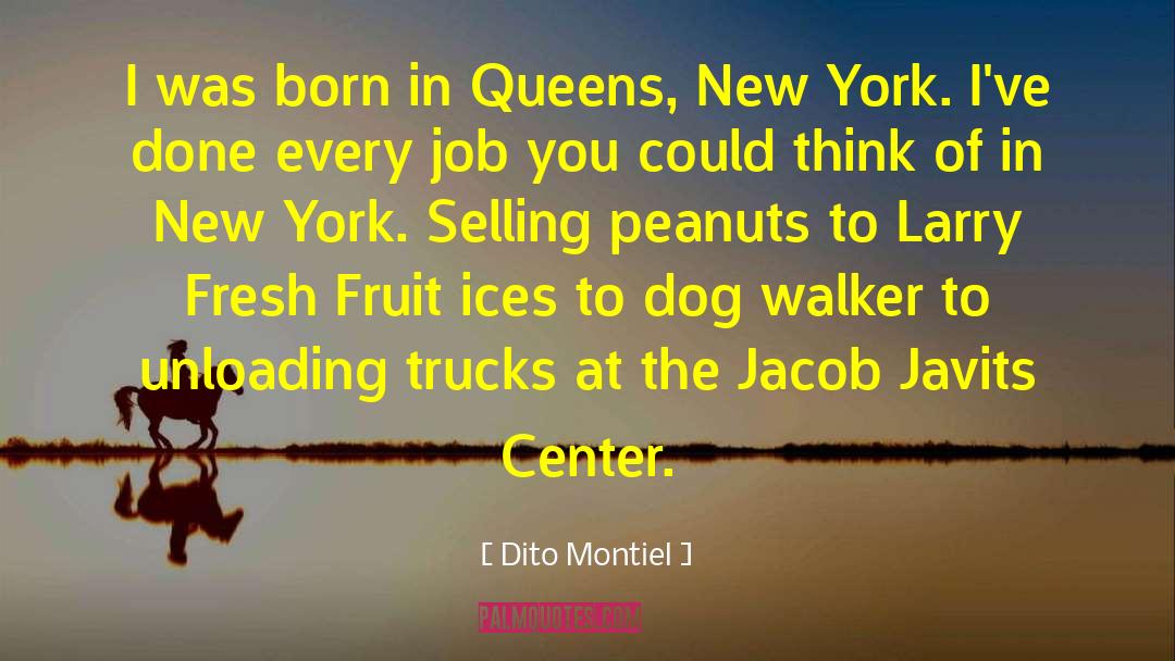 Dito Montiel Quotes: I was born in Queens,