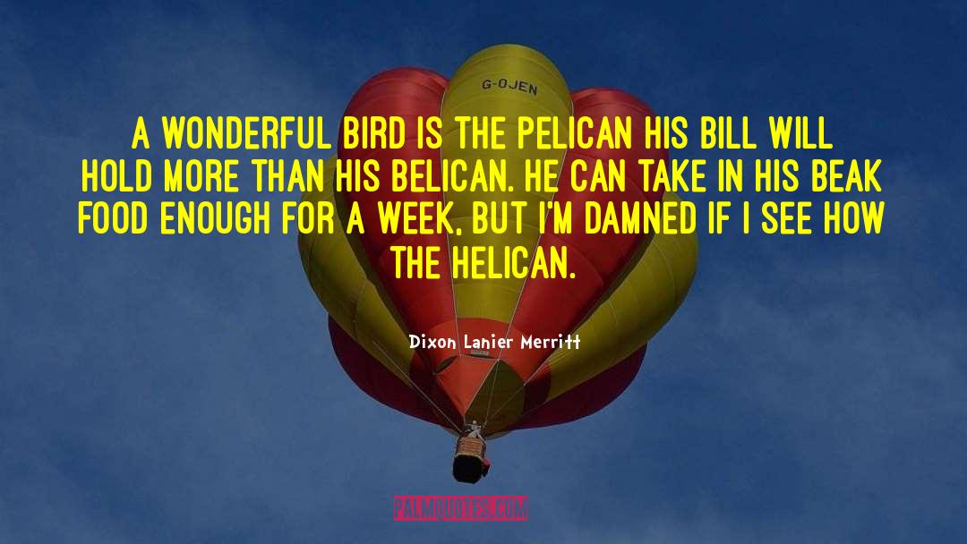 Dixon Lanier Merritt Quotes: A wonderful bird is the