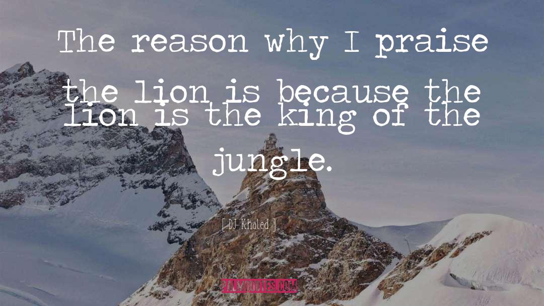 DJ Khaled Quotes: The reason why I praise