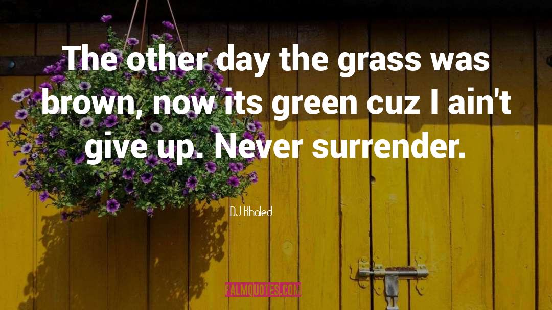 DJ Khaled Quotes: The other day the grass