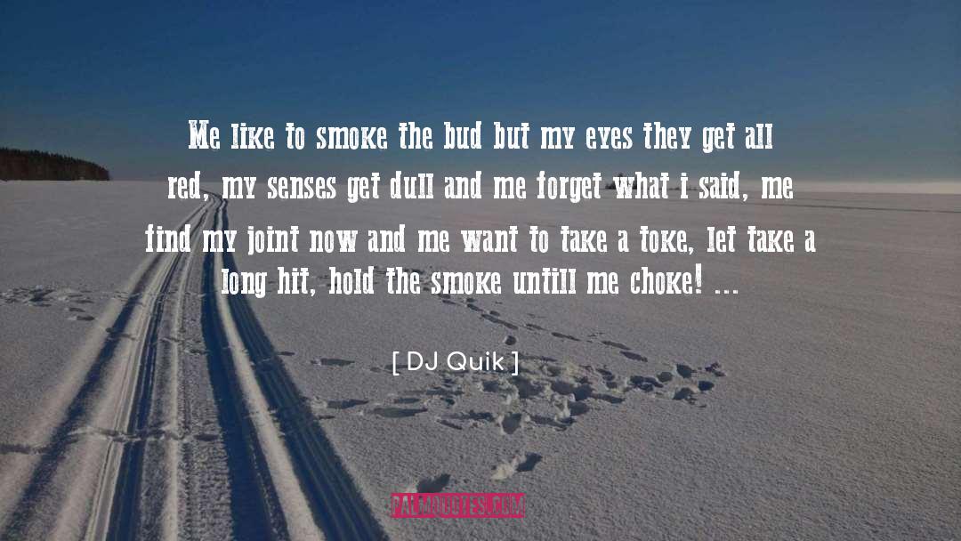 DJ Quik Quotes: Me like to smoke the