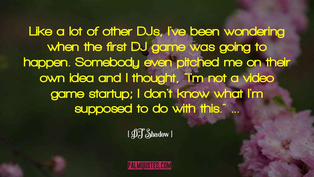 DJ Shadow Quotes: Like a lot of other