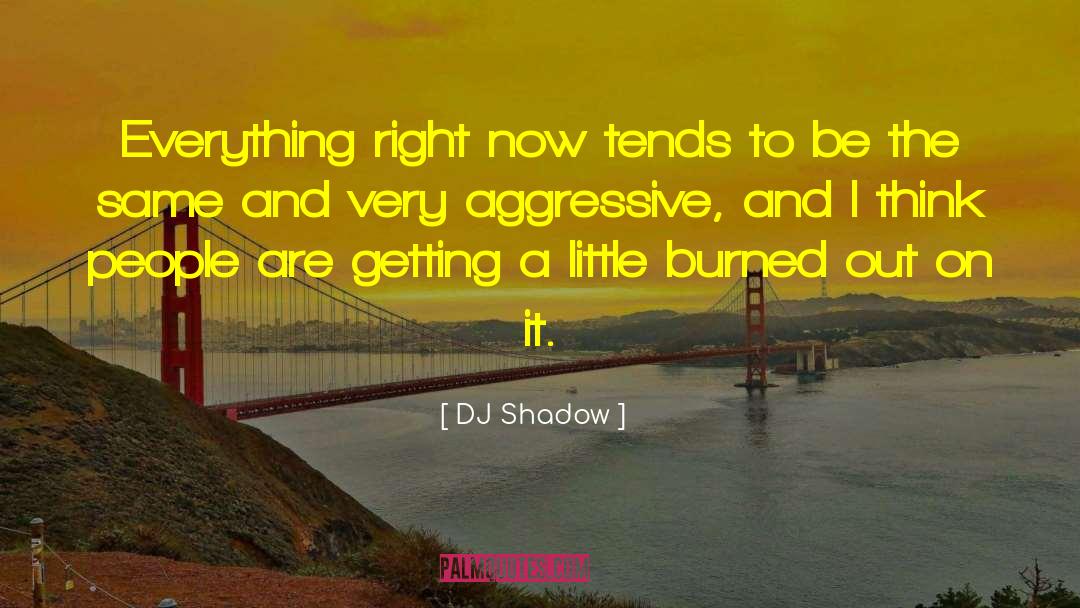 DJ Shadow Quotes: Everything right now tends to