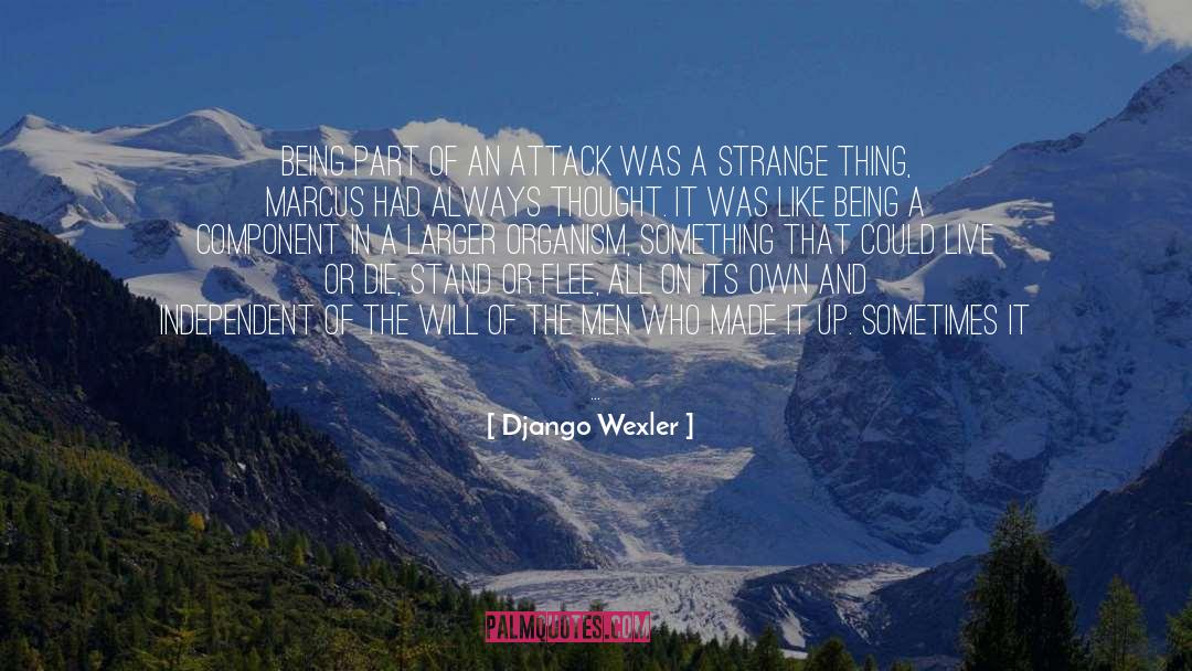 Django Wexler Quotes: Being part of an attack
