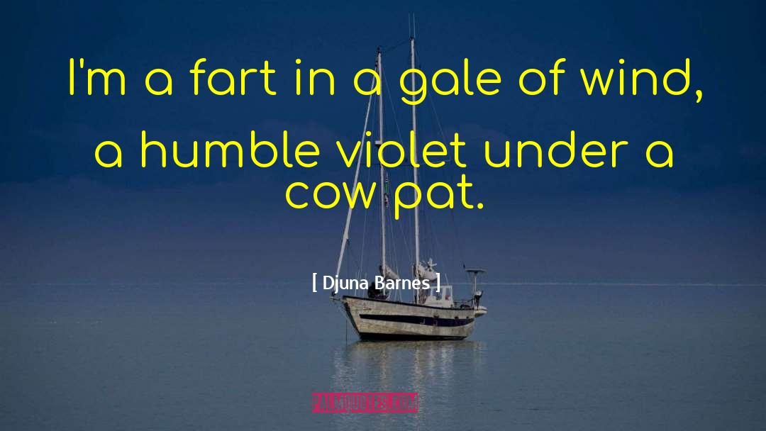 Djuna Barnes Quotes: I'm a fart in a