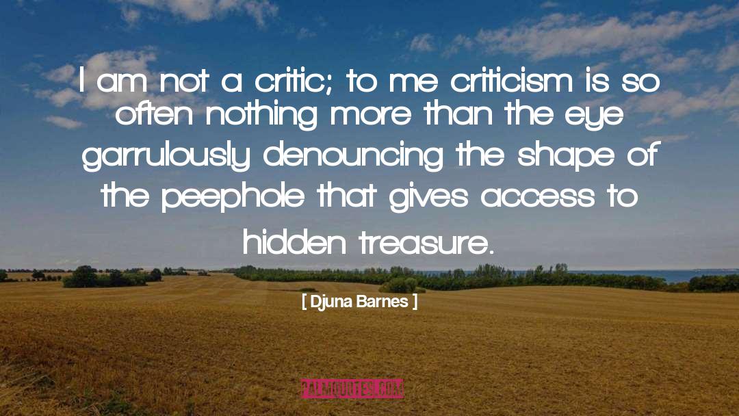 Djuna Barnes Quotes: I am not a critic;