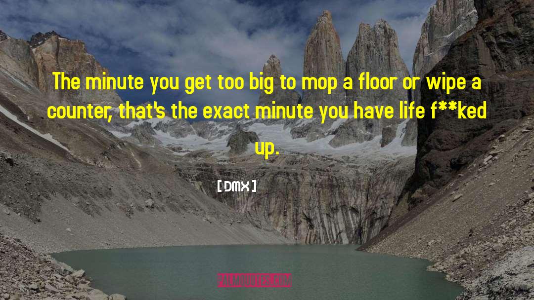 DMX Quotes: The minute you get too