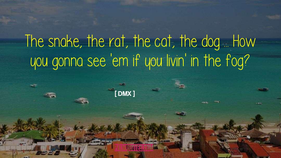 DMX Quotes: The snake, the rat, the