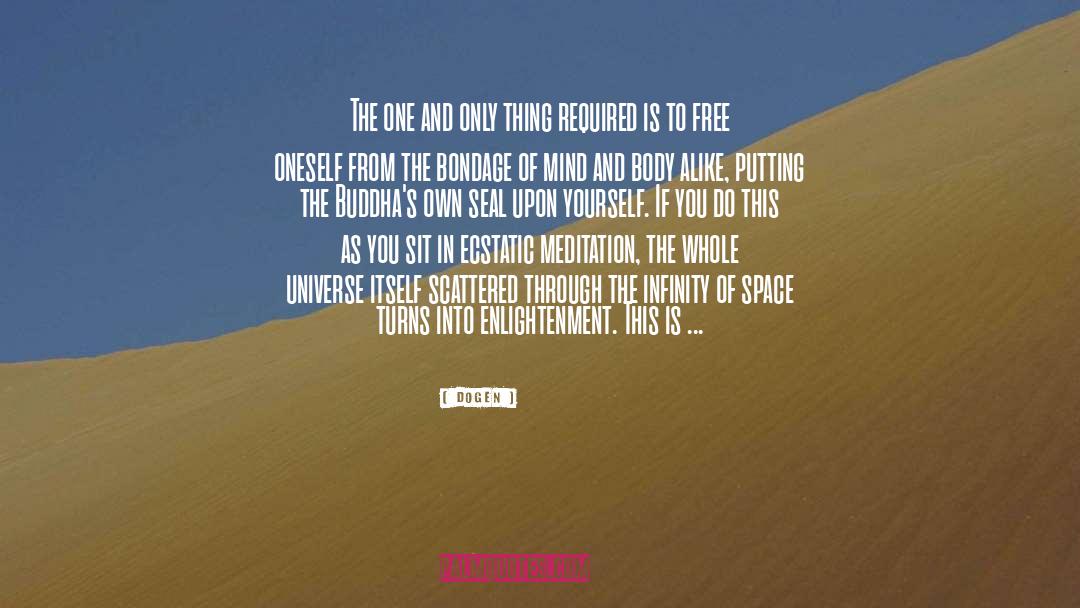 Dogen Quotes: The one and only thing