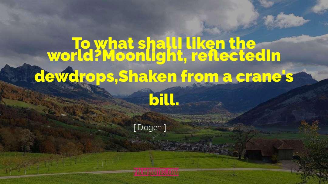 Dogen Quotes: To what shall<br>I liken the