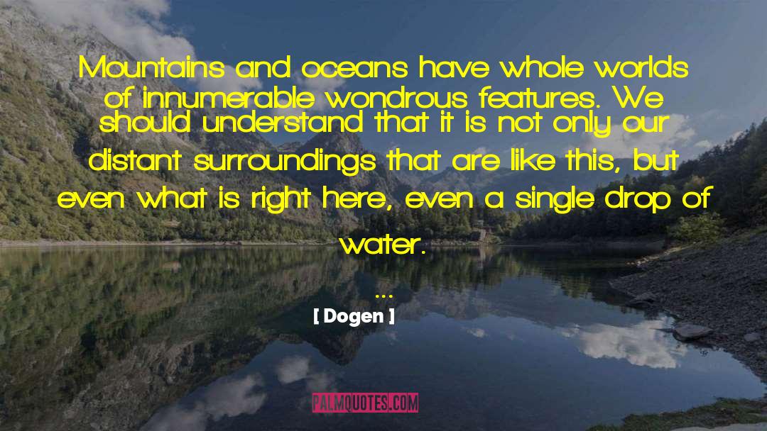 Dogen Quotes: Mountains and oceans have whole