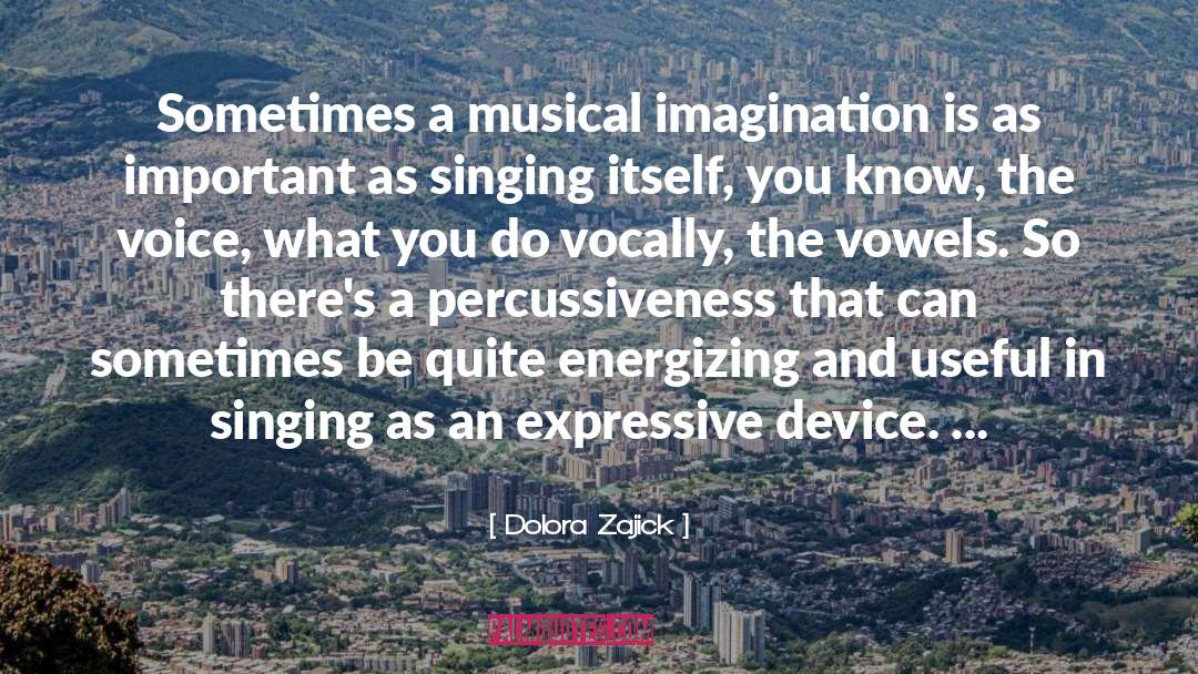 Dolora Zajick Quotes: Sometimes a musical imagination is