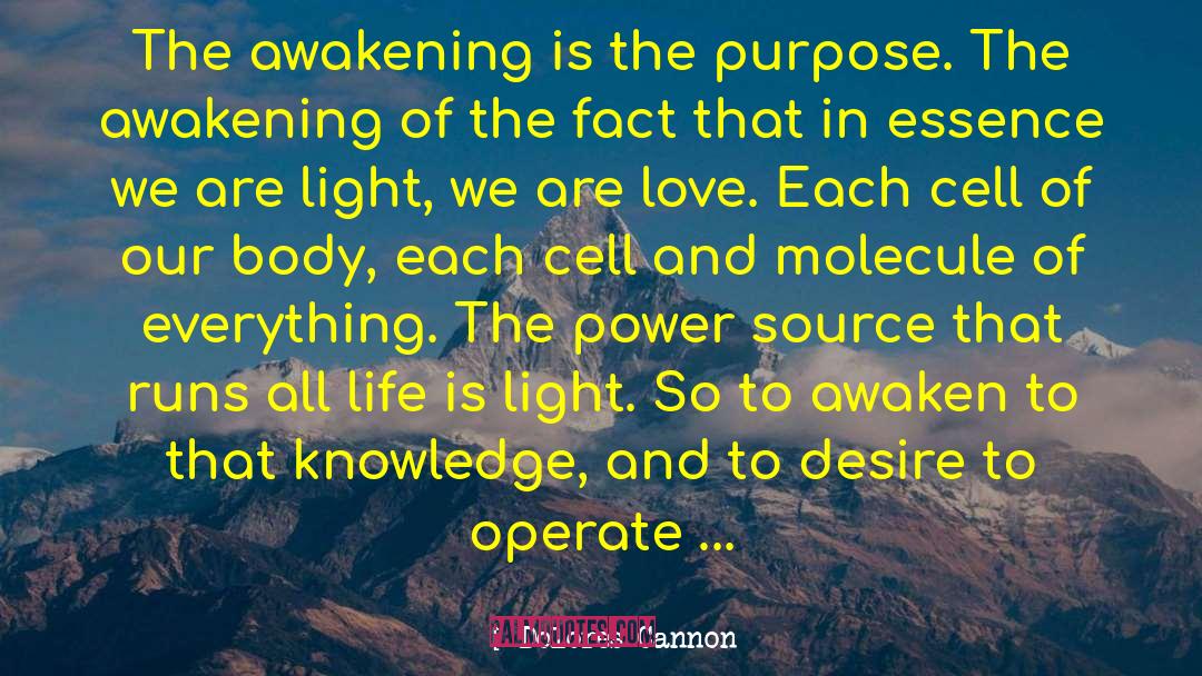 Dolores Cannon Quotes: The awakening is the purpose.