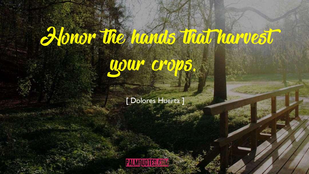 Dolores Huerta Quotes: Honor the hands that harvest