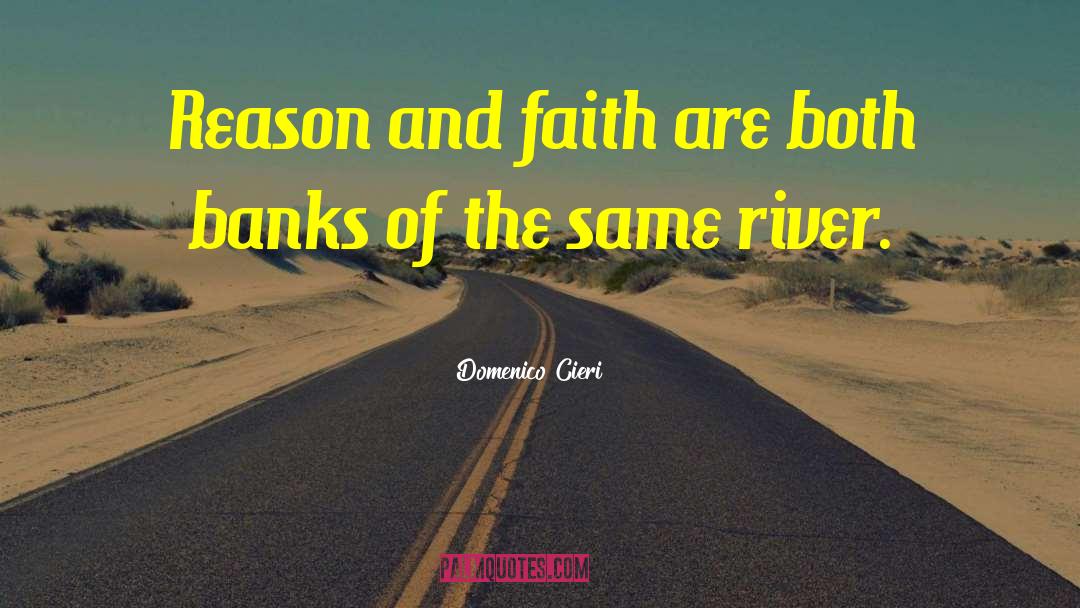 Domenico Cieri Quotes: Reason and faith are both